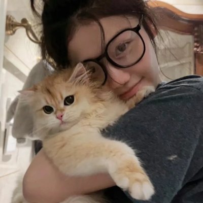 最强大脑第四季